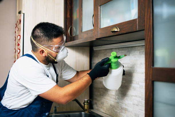 Best Mosquito Control Services  in Cross Plains, TN