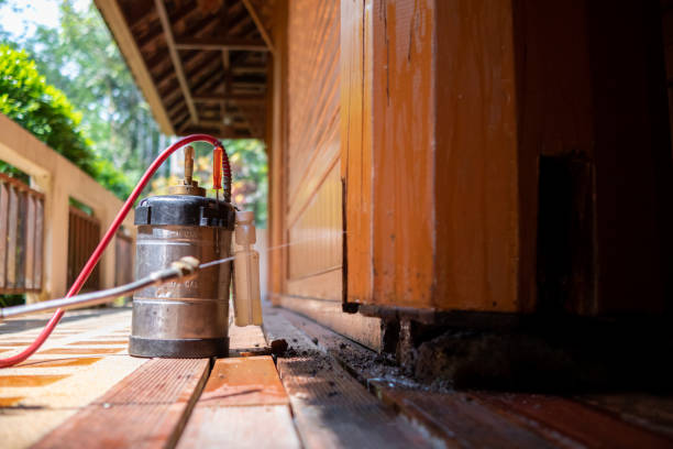 Best Termite Control Services  in Cross Plains, TN