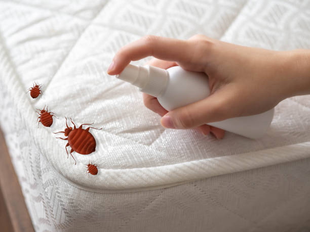 Wasp Removal Services in Cross Plains, TN
