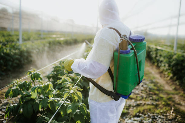 Wildlife Control Services in Cross Plains, TN